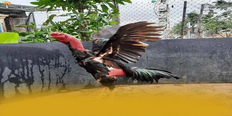 8XBET - Sân chơi ổn định hiện nay 8XBET - Sân chơi ổn định hiện nay